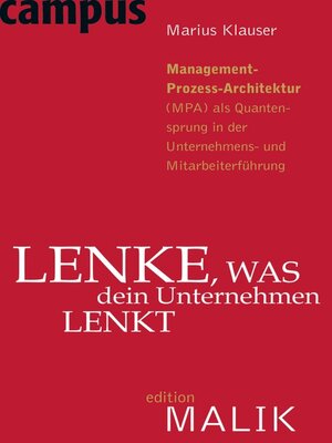 cover image of Lenke, was dein Unternehmen lenkt